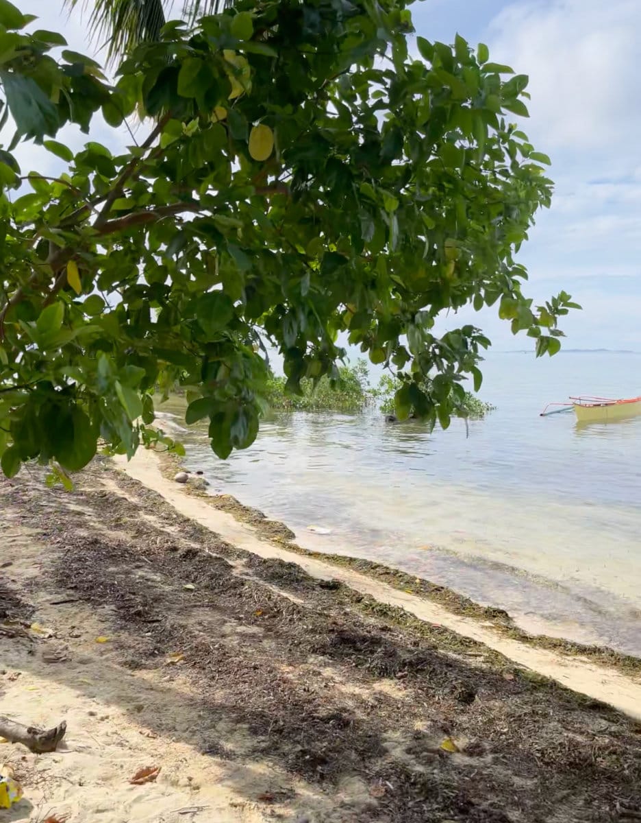 Finding a Perfect Beach in Siargao